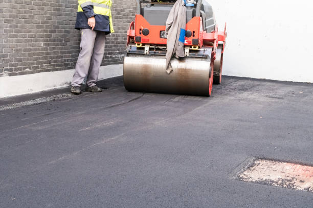 Best Driveway Border and Edging  in West Babylon, NY